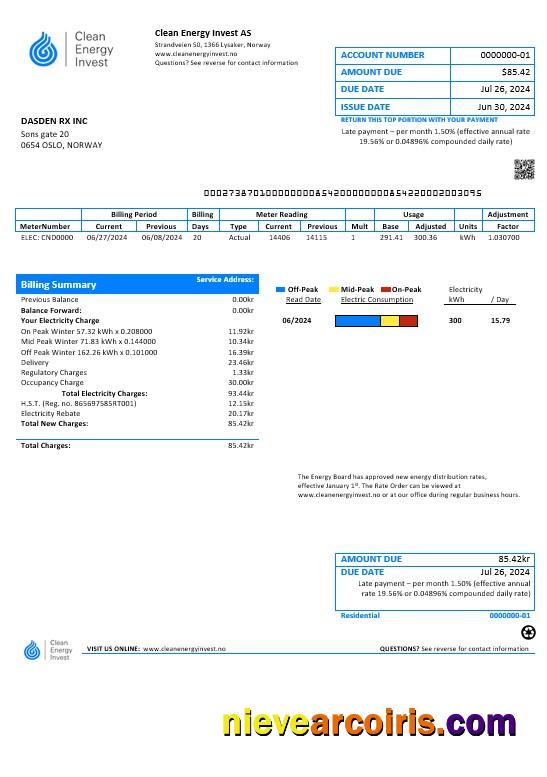 Norway Clean Energy Invest AS business utility bill, good for address prove